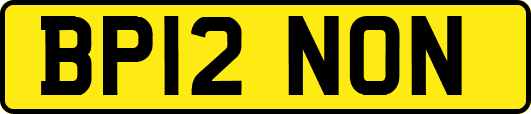 BP12NON