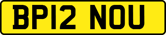 BP12NOU