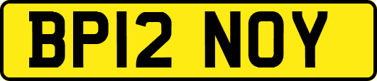 BP12NOY
