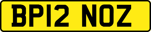 BP12NOZ