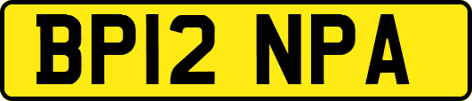 BP12NPA