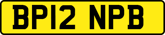 BP12NPB