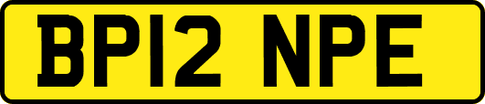 BP12NPE