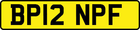 BP12NPF