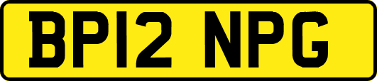 BP12NPG