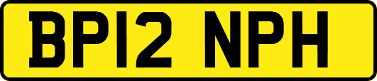 BP12NPH