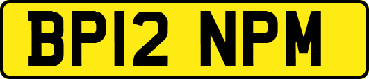 BP12NPM