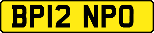 BP12NPO