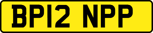 BP12NPP