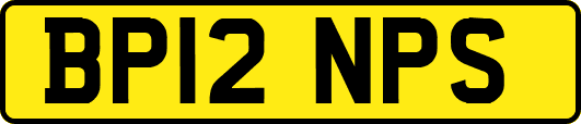 BP12NPS