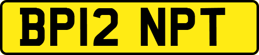 BP12NPT