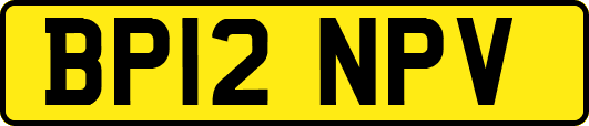 BP12NPV