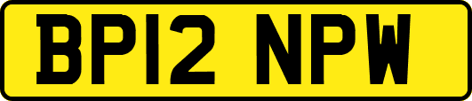 BP12NPW