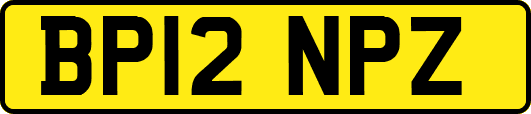 BP12NPZ