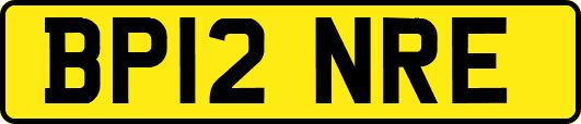 BP12NRE
