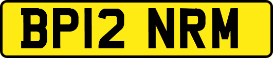 BP12NRM