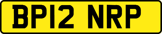 BP12NRP