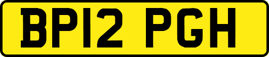 BP12PGH