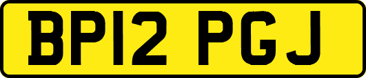 BP12PGJ