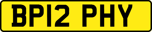 BP12PHY