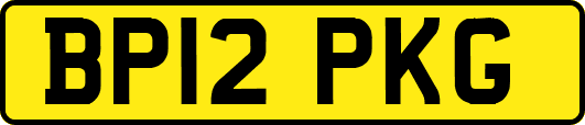 BP12PKG