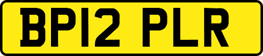 BP12PLR