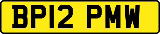 BP12PMW