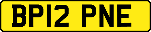 BP12PNE