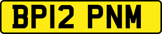 BP12PNM