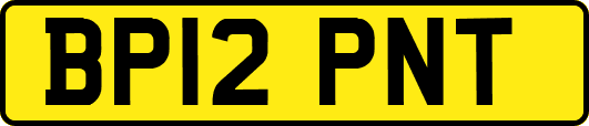 BP12PNT