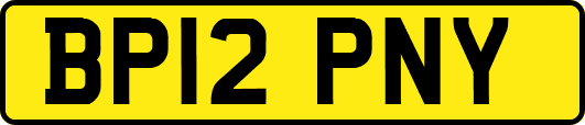 BP12PNY