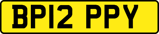 BP12PPY