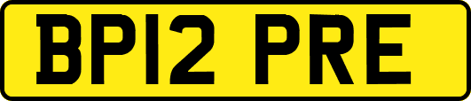 BP12PRE