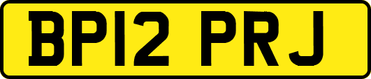 BP12PRJ