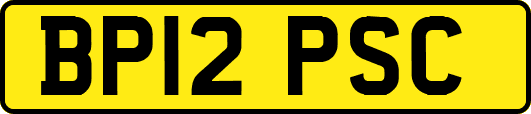 BP12PSC