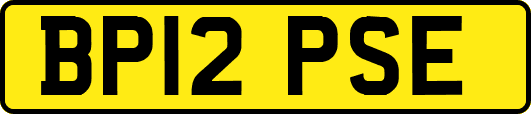 BP12PSE