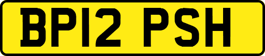 BP12PSH