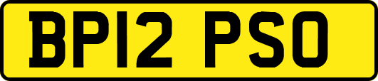 BP12PSO