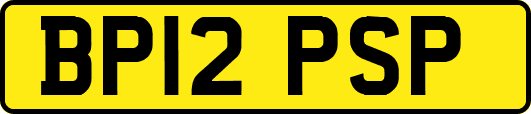 BP12PSP