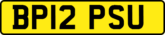 BP12PSU