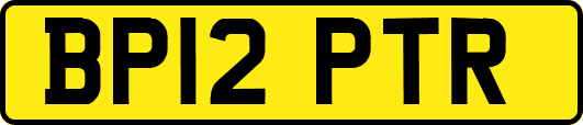 BP12PTR
