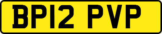 BP12PVP