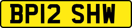 BP12SHW