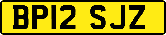 BP12SJZ
