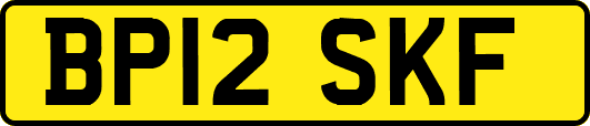 BP12SKF