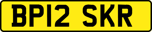 BP12SKR