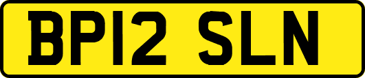 BP12SLN