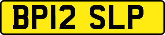 BP12SLP