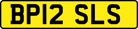 BP12SLS
