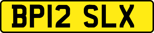 BP12SLX